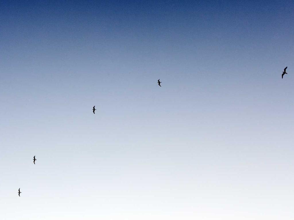 新型ビッグデータを体感できるイベントを実施