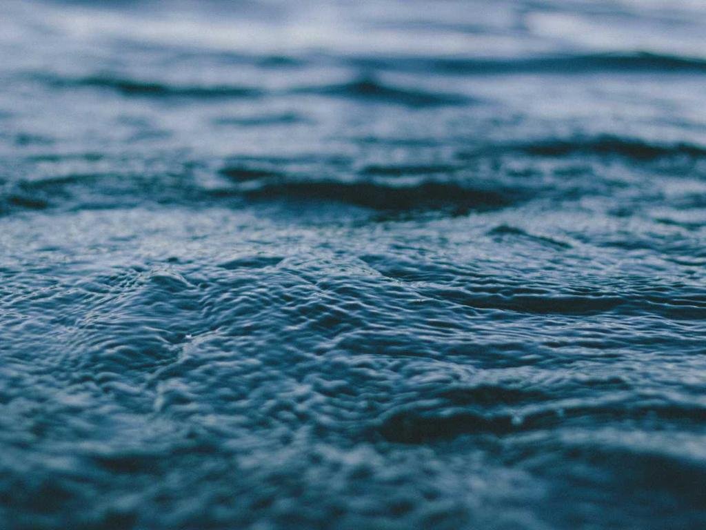 新型Movable Typeを体感できるイベントを実施