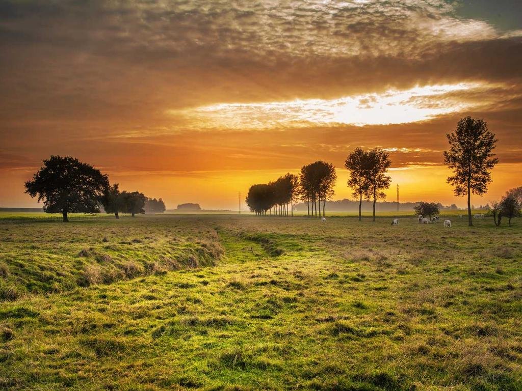 新しいITプロジェクトマネジメントとコラボレーション第３弾